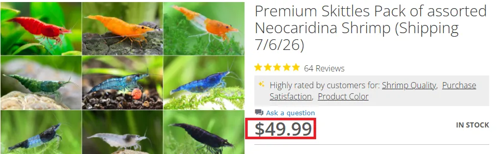Theshrimpfarm offer